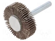 Grinding pin; Granularity: 60; Mounting: rod 6mm; flap,with lever PG PROFESSIONAL