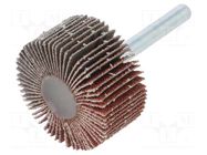 Grinding pin; Granularity: 60; Mounting: rod 6mm; flap,with lever PG PROFESSIONAL