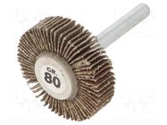 Grinding pin; Granularity: 80; Mounting: rod 6mm; flap,with lever PG PROFESSIONAL
