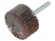 Grinding pin; Granularity: 80; Mounting: rod 6mm; flap,with lever PG PROFESSIONAL