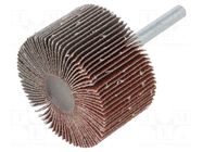 Grinding pin; Granularity: 80; Mounting: rod 6mm; flap,with lever PG PROFESSIONAL
