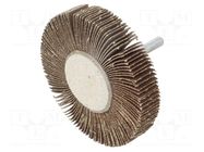 Grinding pin; Granularity: 80; Mounting: rod 6mm; flap,with lever PG PROFESSIONAL