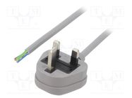 Cable; 3x1mm2; BS 1363 (G) plug,wires; PVC; 1m; grey; 13A; 250V LIAN DUNG