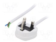 Cable; 3x1mm2; BS 1363 (G) plug,wires; PVC; 1m; white; 13A; 250V LIAN DUNG