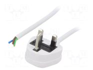 Cable; 3x1mm2; BS 1363 (G) plug,wires; PVC; 1m; white; 13A; 250V LIAN DUNG