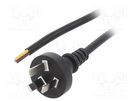 Cable; 3x1mm2; AS/NZS 3112 (I) plug,wires; PVC; 3m; black; 10A LIAN DUNG