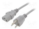 Cable; 3x18AWG; IEC C13 female,NEMA 5-15 (B) plug; PVC; 2m; grey LIAN DUNG
