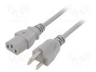 Cable; 3x18AWG; IEC C13 female,NEMA 5-15 (B) plug; PVC; 3m; grey LIAN DUNG