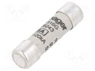 Fuse: fuse; gG,time-lag; 16A; 500VAC; cylindrical,industrial HAGER