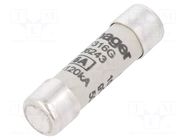 Fuse: fuse; 16A; 500VAC; gG; cylindrical,industrial; 10x38mm HAGER