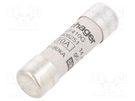 Fuse: fuse; gG; 10A; 690VAC; cylindrical,industrial; 14x51mm HAGER
