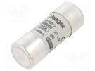 Fuse: fuse; gG; 25A; 690VAC; cylindrical,industrial; 22x58mm HAGER