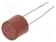 Fuse: fuse; time-lag; 4A; 250VAC; THT; TR5; copper; 372; 5.08mm LITTELFUSE