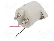 Relay: electromagnetic; SPST-NO; 250A; Ucoil min: 9VDC; screw type TE Connectivity