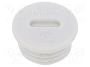 Stopper; PG7; IP56; polyamide; light grey; Thread: PG; 6mm; -25÷60°C BM GROUP