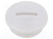 Stopper; PG11; IP56; polyamide; light grey; Thread: PG; 6mm BM GROUP