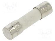 Fuse: fuse; time-lag; 10A; 250VAC; ceramic,cylindrical; 5x20mm LITTELFUSE