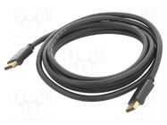 Cable; DisplayPort 1.2; DisplayPort plug,both sides; PVC; Len: 3m VCOM