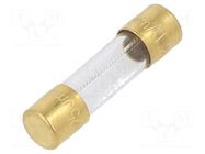 Fuse: fuse; 250mA; 250VAC; time-lag; cylindrical,glass; 5x20mm; SMD SCHURTER