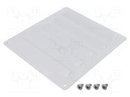 Guard; steel; Cutout: 170x190mm; IP23; Body dim: 220x220mm SCHNEIDER ELECTRIC