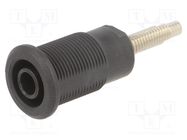 Socket; 4mm banana; 32A; black; nickel plated; Overall len: 38.5mm STÄUBLI