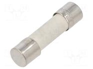 Fuse: fuse; 10A; 250VAC; time-lag; ceramic,cylindrical; 5x20mm EATON/BUSSMANN