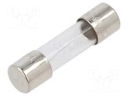 Fuse: fuse; 1.25A; 250VAC; time-lag; cylindrical,glass; 5x20mm EATON/BUSSMANN