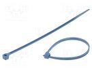 Cable tie; with metal; L: 100mm; W: 2.5mm; polyamide; 80N; blue BM GROUP