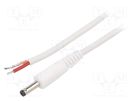 Cable; 1x1mm2; wires,DC 4,0/1,7 plug; straight; white; 0.5m WEST POL
