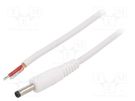 Cable; 1x1mm2; wires,DC 4,0/1,7 plug; straight; white; 1.5m WEST POL