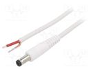 Cable; 1x1mm2; wires,DC 5,5/1,7 plug; straight; white; 0.5m WEST POL