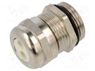 Cable gland; multi-hole; PG13,5; IP65; brass; Body plating: nickel HUMMEL