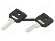 Key; 22mm; Harmony XB4; 2pcs. SCHNEIDER ELECTRIC