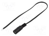 Cable; 2x0.35mm2; wires,DC 5,5/2,5 socket; straight; black; 0.25m BQ CABLE