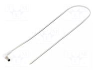 Cable; 2x0.35mm2; wires,DC 5,5/2,5 plug; angled; white; 0.5m WEST POL