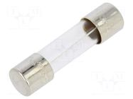 Fuse: fuse; 5A; 250VAC; time-lag; cylindrical,glass; 5x20mm; S506 EATON/BUSSMANN