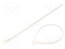 Cable tie; multi use; L: 300mm; W: 7.6mm; polyamide; 230N; natural BM GROUP