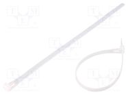 Cable tie; multi use; L: 250mm; W: 7.2mm; polyamide; natural QOLTEC