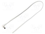 Cable; 2x0.5mm2; wires,DC 5,5/2,1 plug; angled; white; 0.5m WEST POL