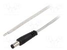 Cable; 2x0.5mm2; wires,DC 5,5/2,1 plug; straight; transparent; 5m BQ CABLE