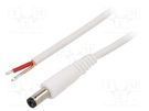 Cable; 1x1mm2; wires,DC 5,5/2,1 plug; straight; white; 1.5m WEST POL