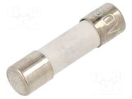 Fuse: fuse; 100mA; 250VAC; quick blow; cylindrical,glass; 5x20mm ESKA