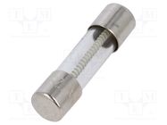 Fuse: fuse; time-lag; 1.25A; 250VAC; cylindrical,glass; 5x20mm SCHURTER