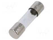 Fuse: fuse; 500mA; 220VAC; quick blow; cylindrical,glass; 5x20mm SCHURTER