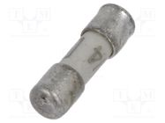 Fuse: fuse; time-lag; 750mA; 125VAC; 125VDC; ceramic,cylindrical SCHURTER