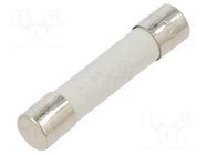 Fuse: fuse; 10A; 500VAC; ultra rapid; ceramic,cylindrical; A12FA SCHURTER