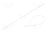 Cable tie; with fixing lugs; L: 155mm; W: 3.6mm; natural; polyamide BM GROUP