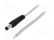Cable; 2x0.5mm2; wires,DC 5,5/2,1 plug; straight; transparent; 3m BQ CABLE