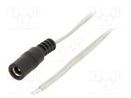 Cable; 2x0.5mm2; wires,DC 5,5/2,5 socket; straight; transparent BQ CABLE