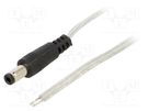 Cable; 2x0.5mm2; wires,DC 5,5/2,5 plug; straight; transparent; 3m BQ CABLE